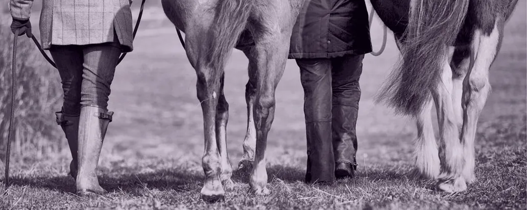 People and horses walking side by side, seen from knee height