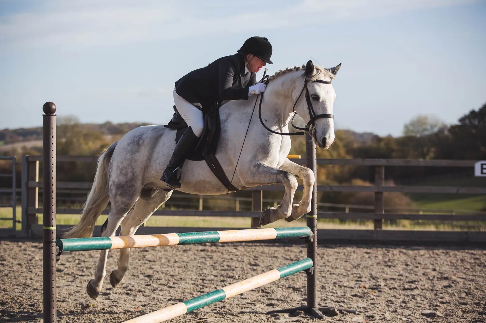 A rider jumping a grey horse over a fence in the menage