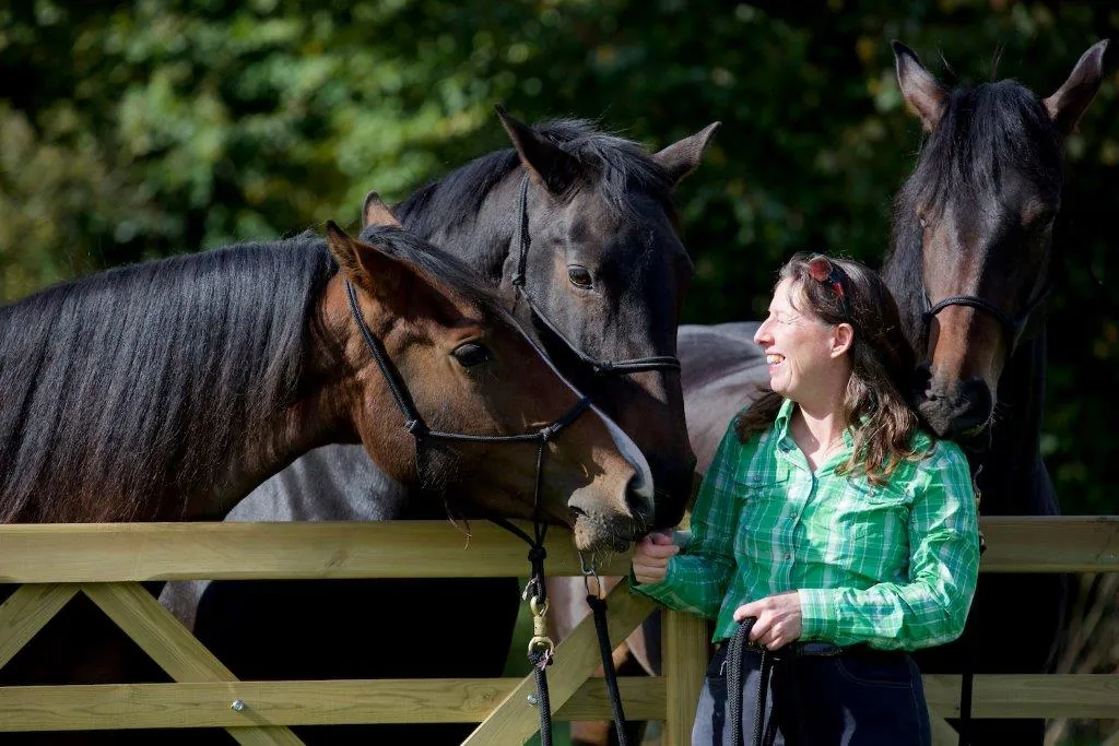 A smiling woman at a paddock gate with three dark bay horses