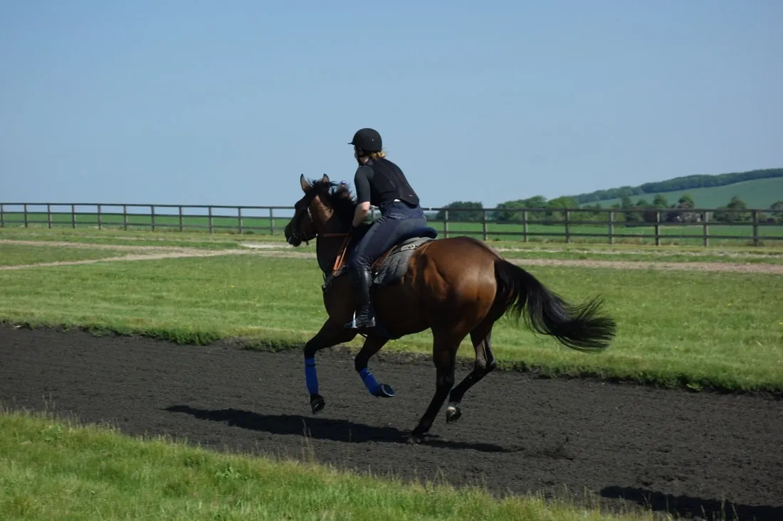 A rider cantering a bay horse along a grass-edged track